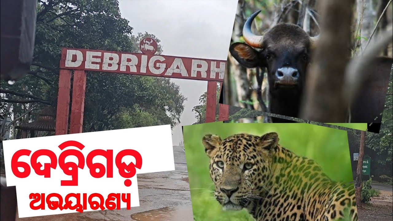Debrigarh wildlife sanctuary| Odisha wildlife sanctuary| ଦେବ୍ରିଗଡ଼ ଅଭୟାରଣ୍ୟ