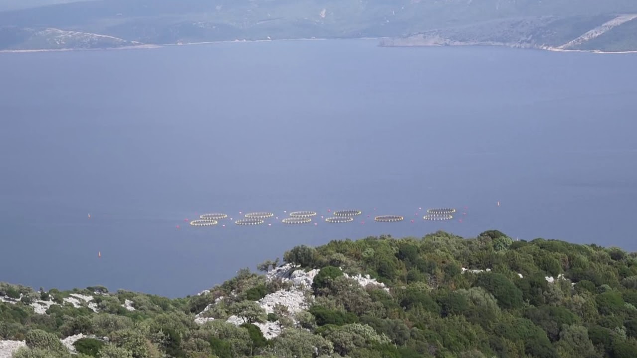 Auf den Televrina bei Osor / Cres / Kroatien
