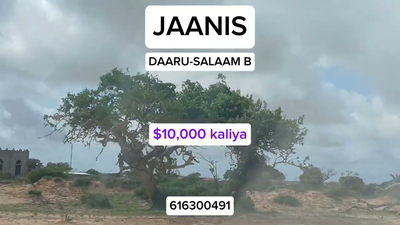 JAANIS: 12 BOOS OO QIIMO JABAN LAGU IIBINAYO | DAARU-SALAAM B | Whatsapp +252616300491 |
