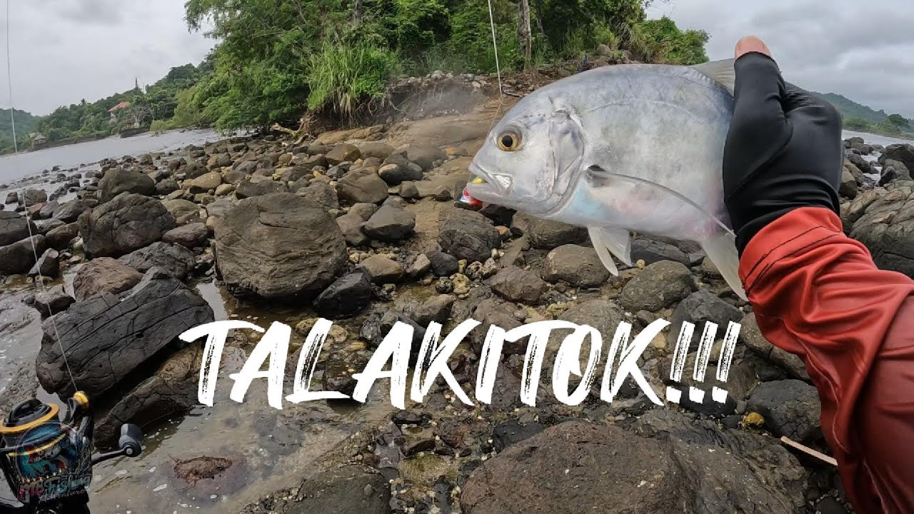 Maganda na din ang kagatan ng KITOK