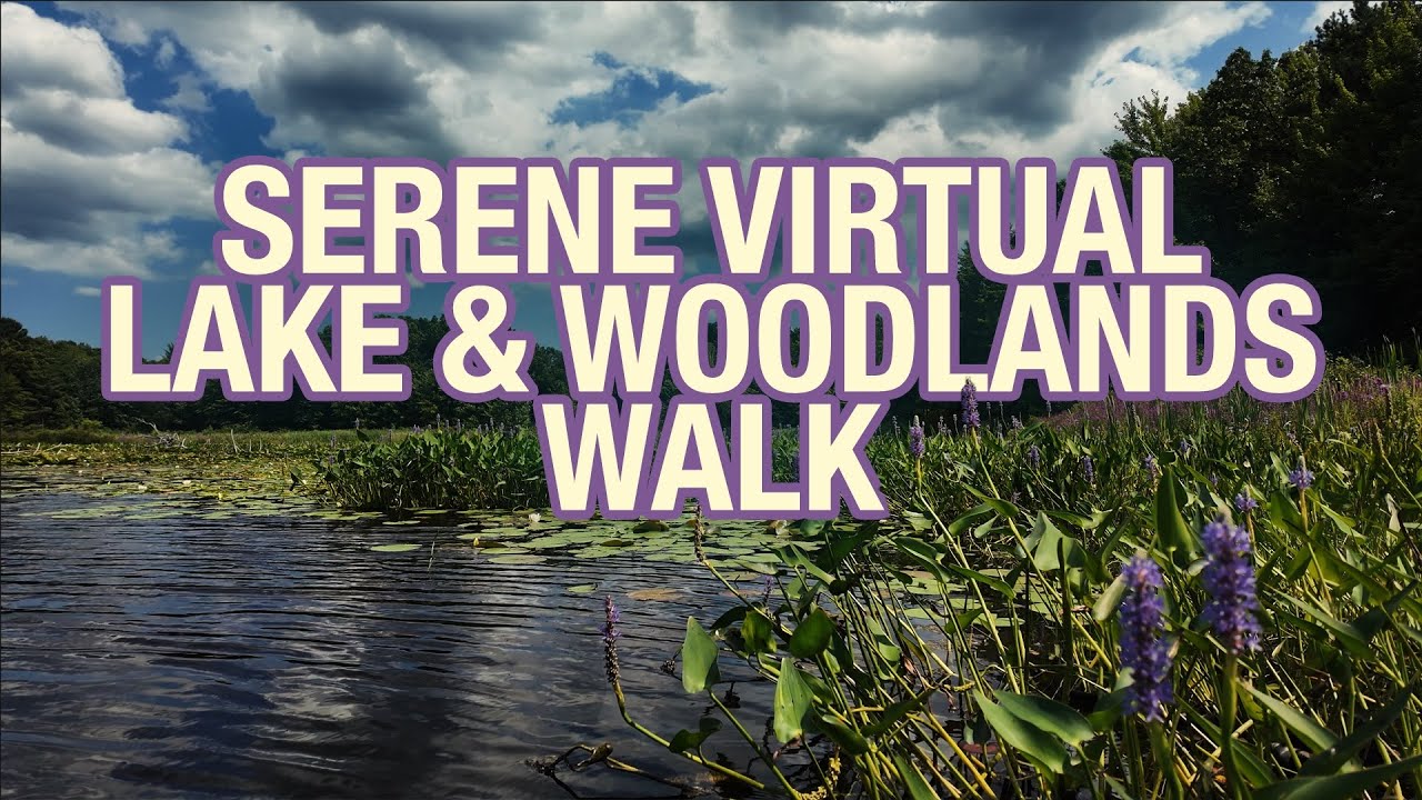 Virtual Lake and Woodlands Walk | 4K | Peaceful Landscapes, Flowing Water, Beautiful birdsong