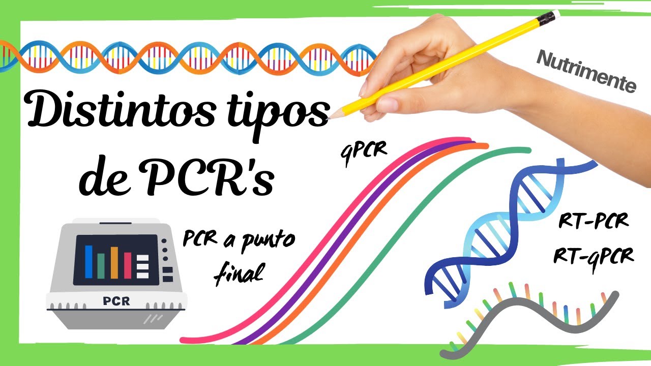 Distintos tipos de PCR's (PCR / RT-PCR / qPCR / RT-qPCR)