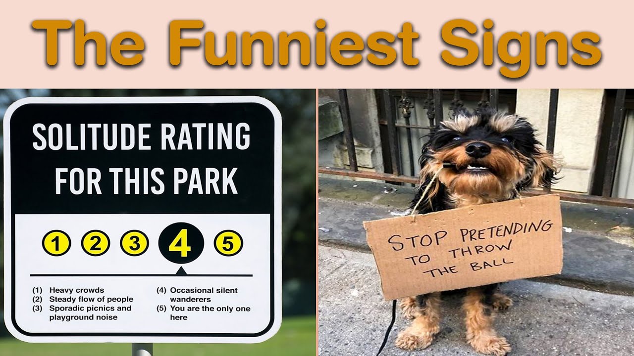The Funniest Signs That Prove Reality Is Funnier Than Comedy! || Daily Funnies
