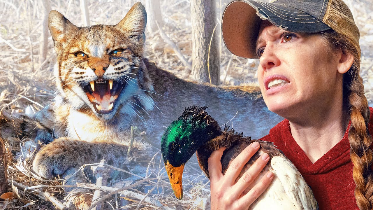 We Can&rsquo;t Believe we caught This Predator