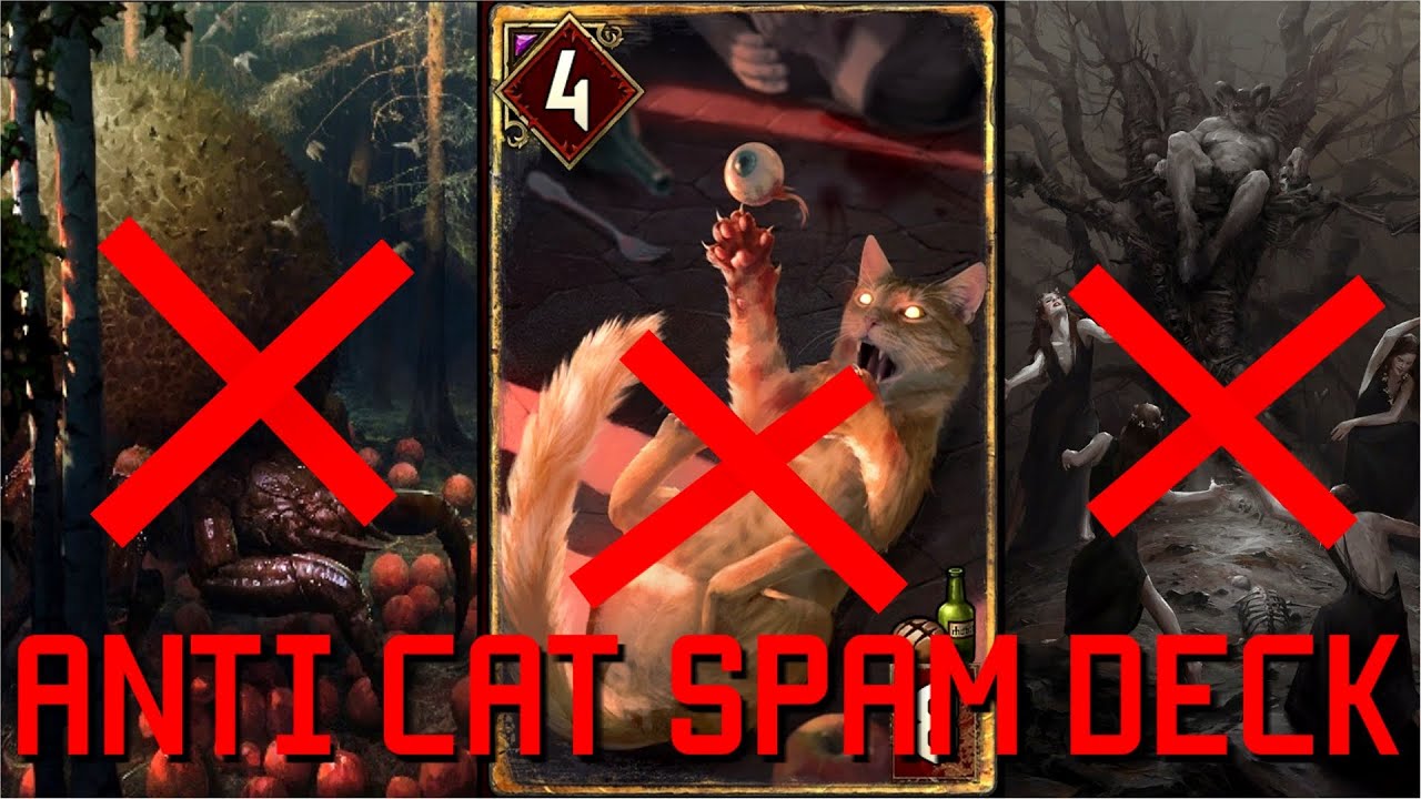 Gwent: 100% Win Rate Against Cat Spam Deathwish | Deck & Strategy Explained