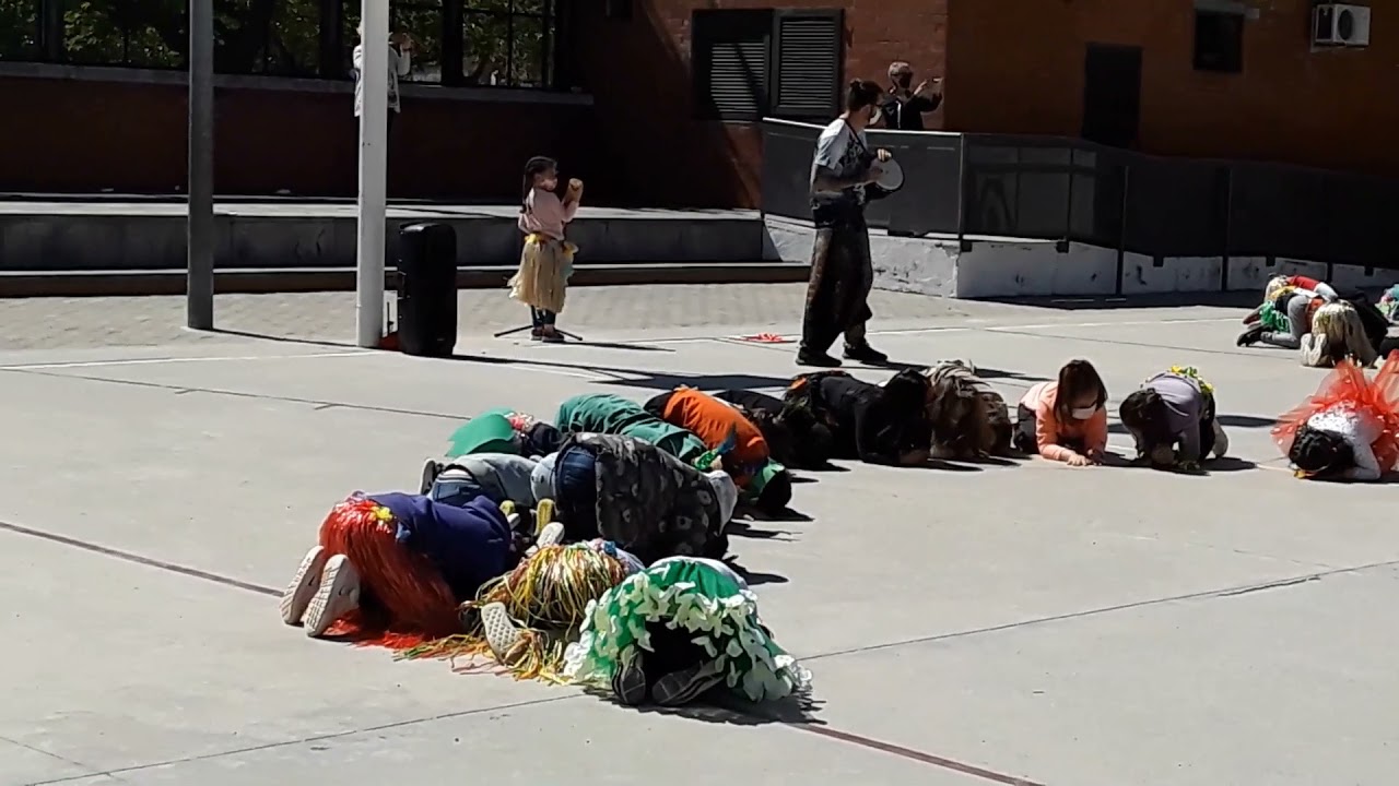 NAS14 DANSA 1A
