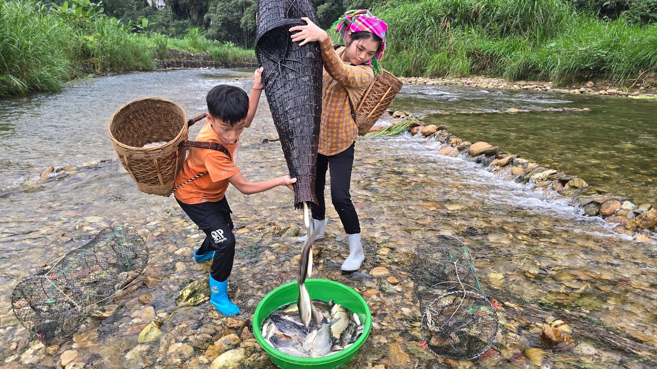 set fish traps with bamboo baskets, harvest fish and bring them back to the village to sell