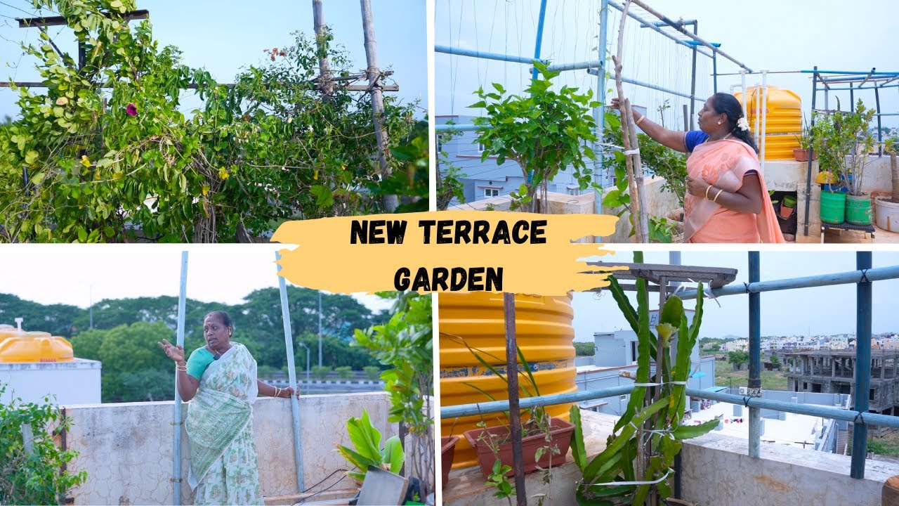 மாடித்தோட்டத்தை VERA LEVELல மாத்திட்டோம் |NEW TERRACE GARDEN UPDATE|@Ammaveetu samayal