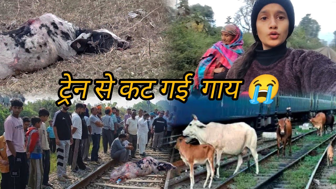 ट्रेन से कट गई हमारी गाय 😡| गाय को देखकर Mummy रोने लगे 😭| himanshipunethavlogs