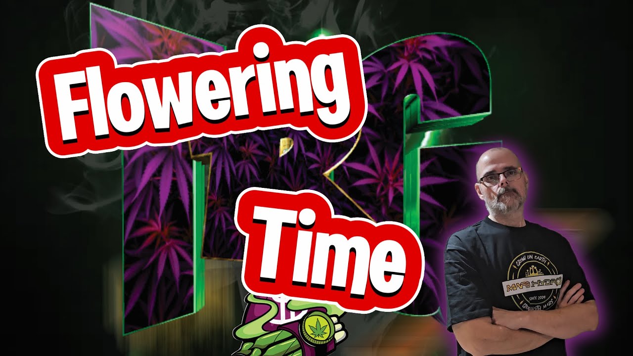 Flipping the Switch: Gardens Go to Flower 