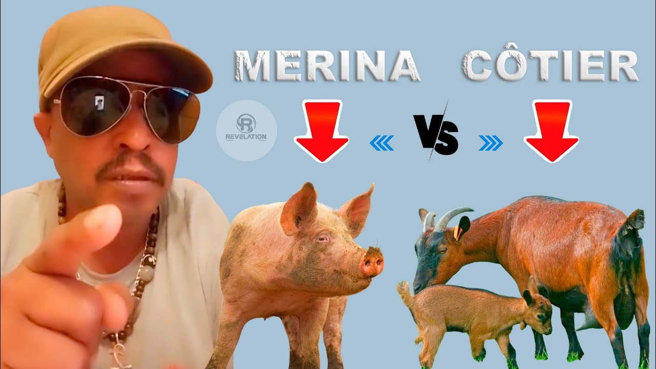 Luc Hervé - FANONTANIANA MILA VALINY HO ANAREO CÔTIER sy MERINA…
