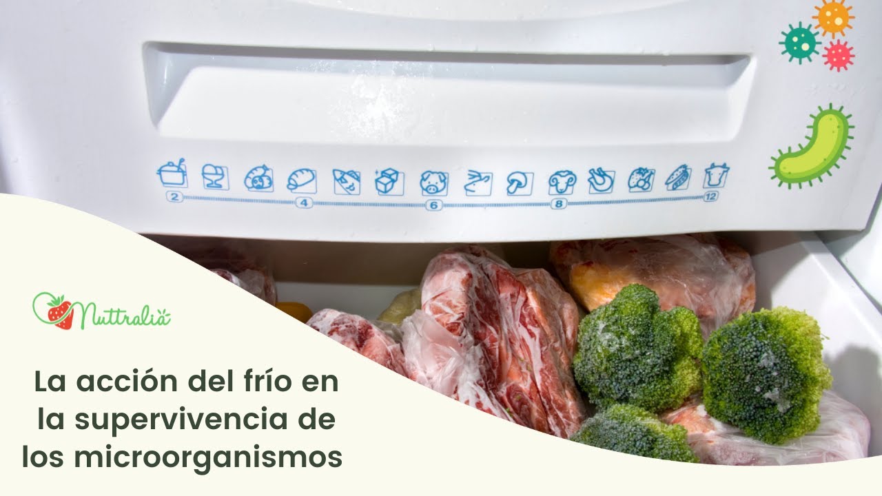 La acción del frío en la supervivencia de los microorganismos