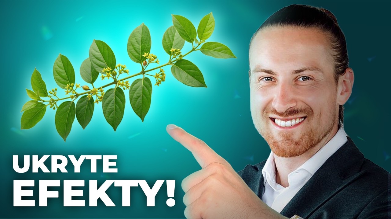 Ta Roślina Może Pom&oacute;c 92% Os&oacute;b. Nikt O Niej Nie M&oacute;wi!