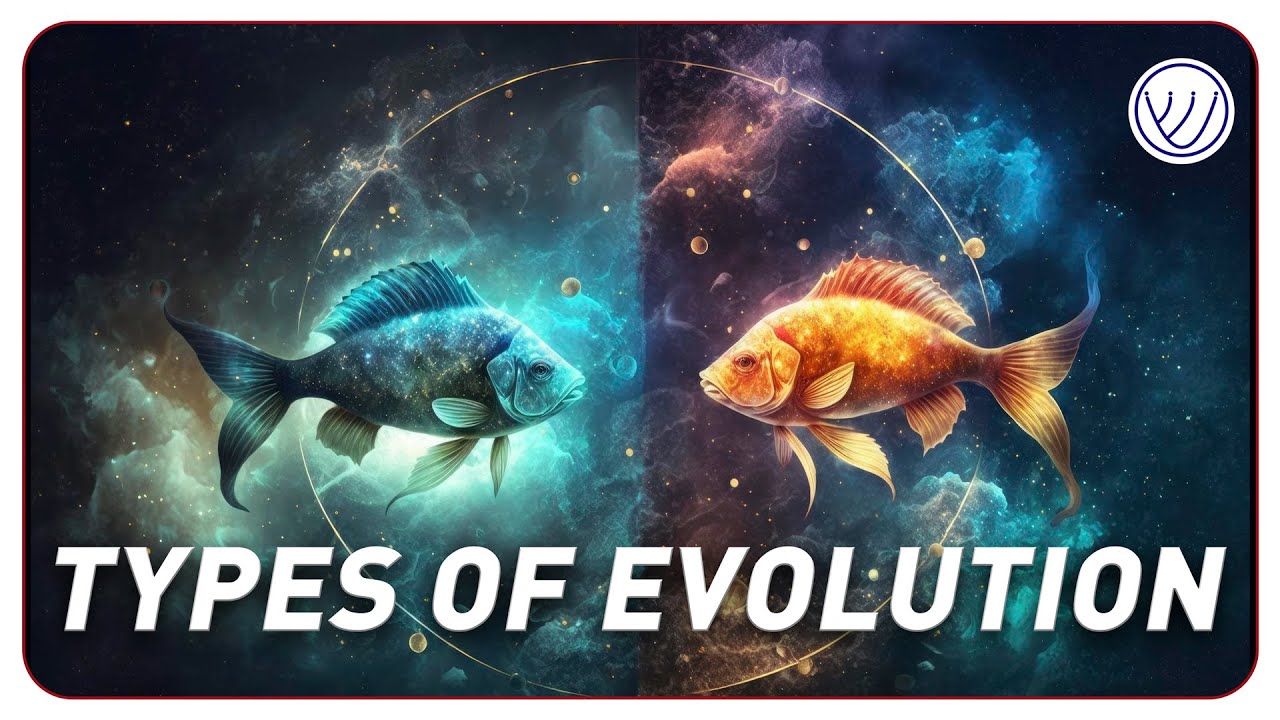 Important Types of Evolution: Divergent Convergent Parallel & Coevolution Exadaptation/Preadaptation