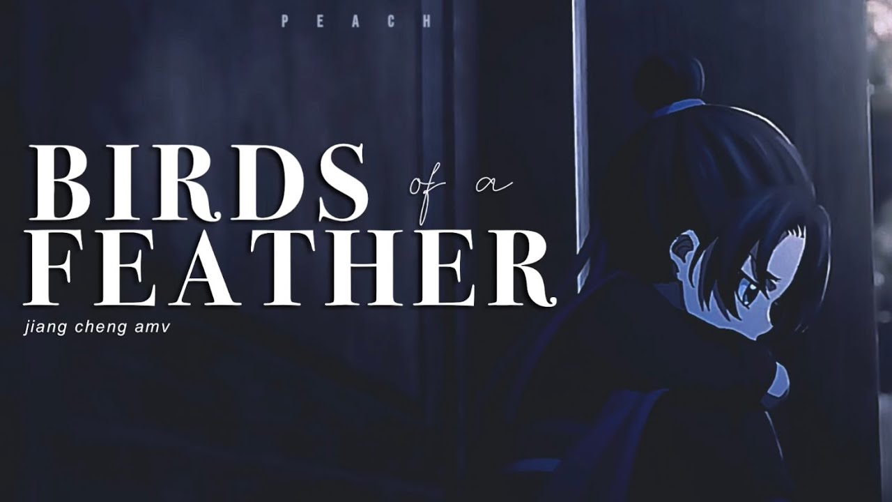 Jiang Cheng | Birds of a Feather | Mo Dao Zu Shi | AMV