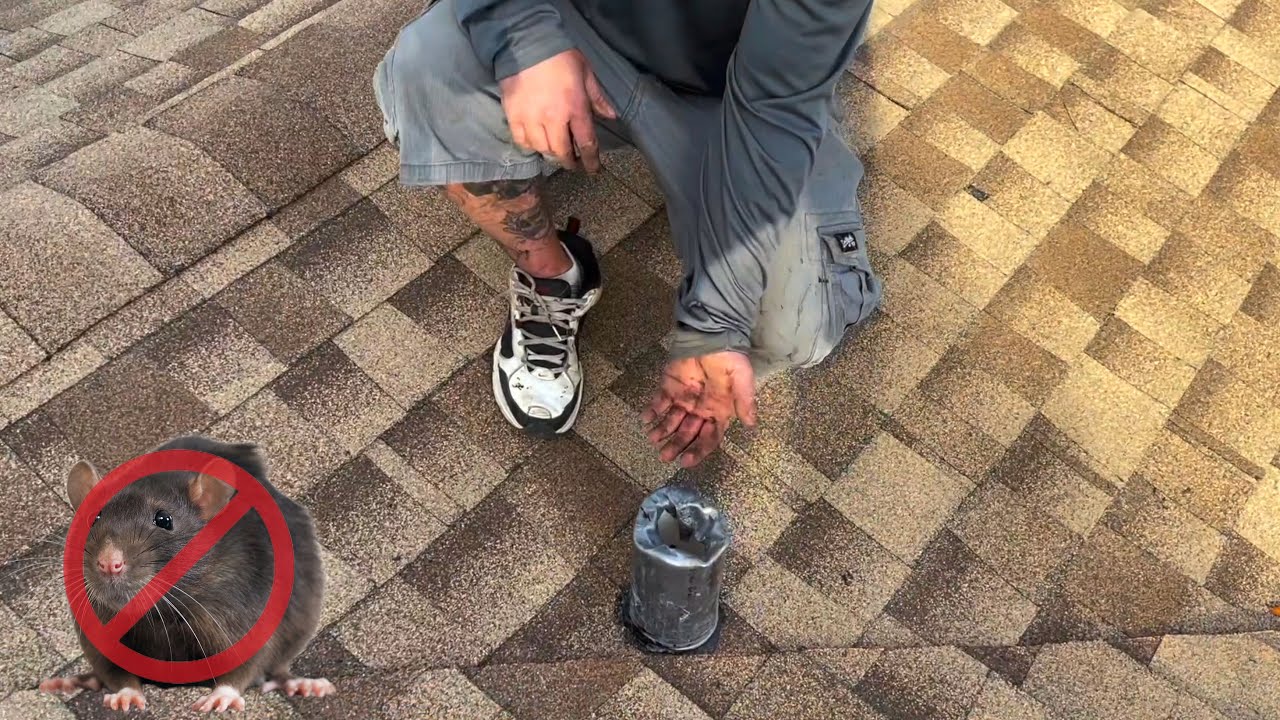 Should you place a mesh over your roofing venter to prevent animals getting in?