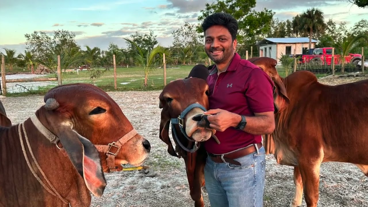 Maharshi Farms - Loxahatchee, FL