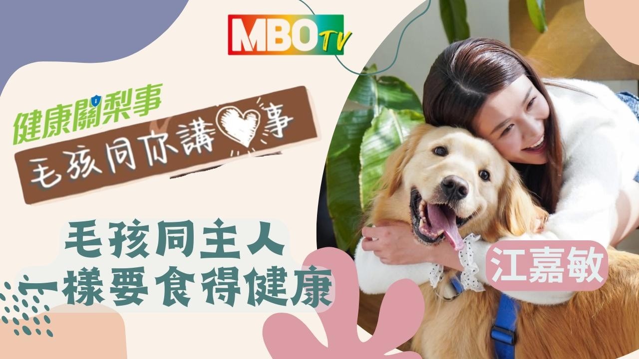 【毛孩同你講「心」事】毛孩與人，一樣要食得健康！