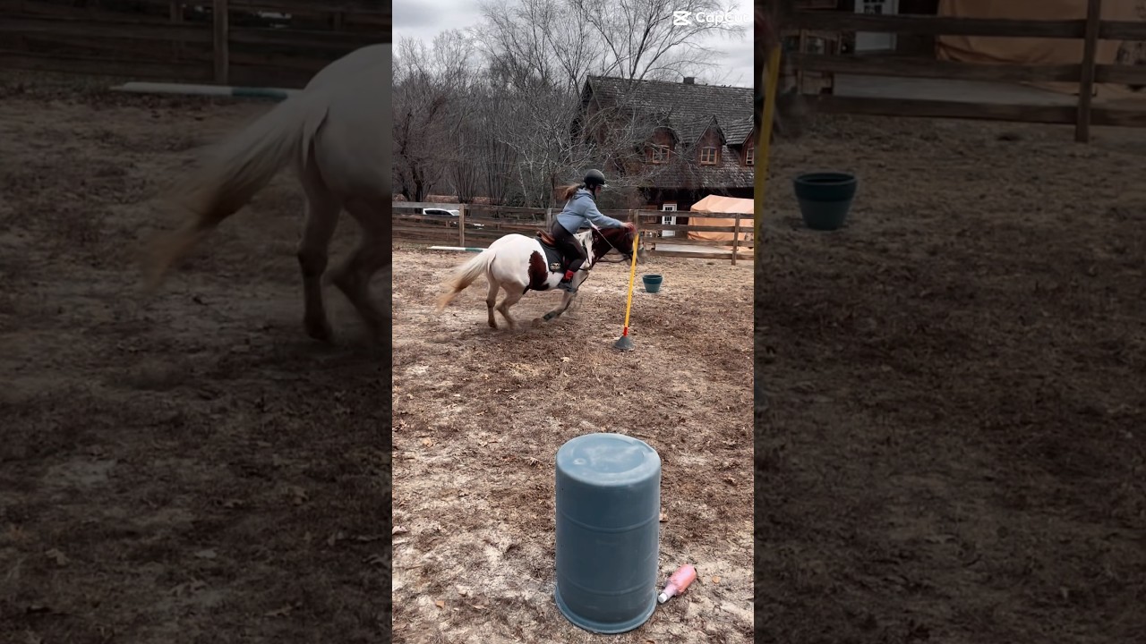 #horse #equinegame #horseenthusiast #mountedgames #equestrian #equestrianevent #horsefan #horselover