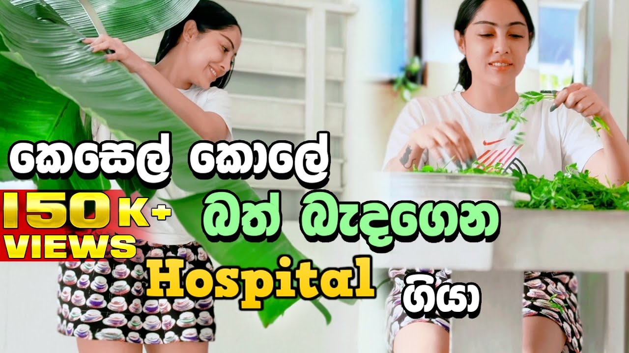 කෙසෙල් කොලේ බත් උයාගෙන hospital ගියා| Banana leaf | Piumi srinayaka 2024