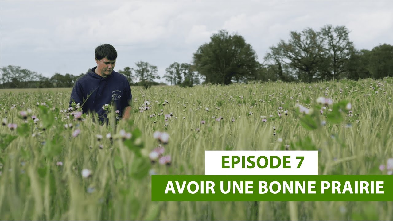 Julien, une histoire d'installation #7