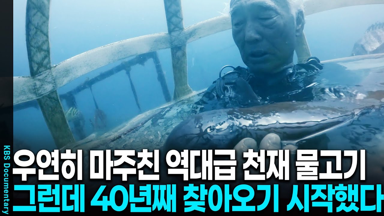 [2025 레전드] 세상이 놀란 역대급 천재 물고기, 40년째 할아버지를 찾아온다.. | KBS 20230211 방송
