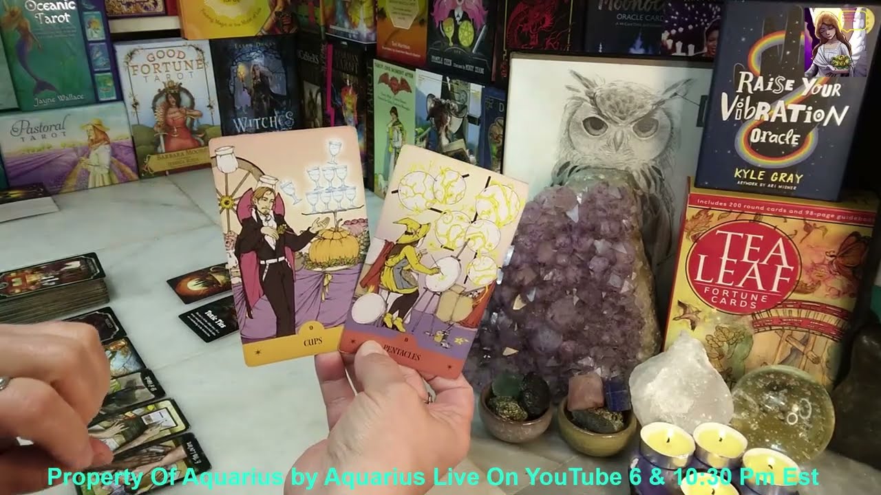 AQUARIUS Leveling Up! Who Thought You Didn't Have What It Takes? You Show Them & It's Shocking!