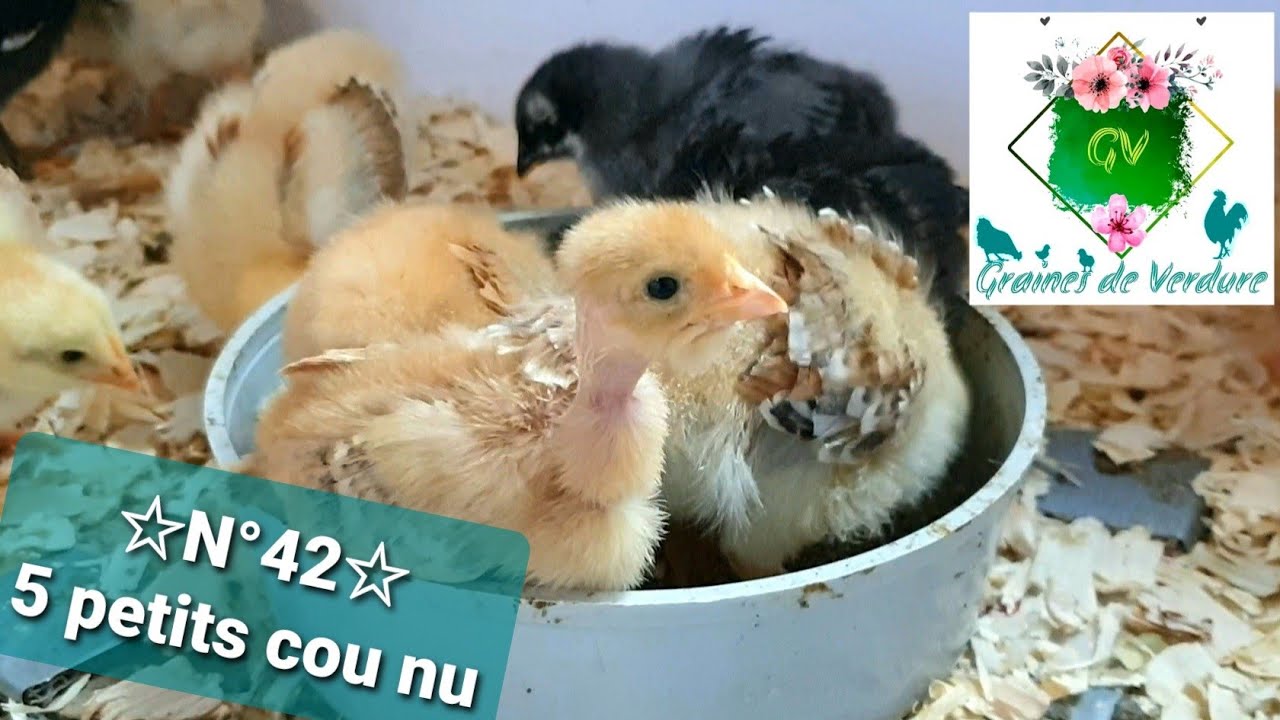 ☆N&deg;42☆ Craquage pour quelques Cou nu ... !