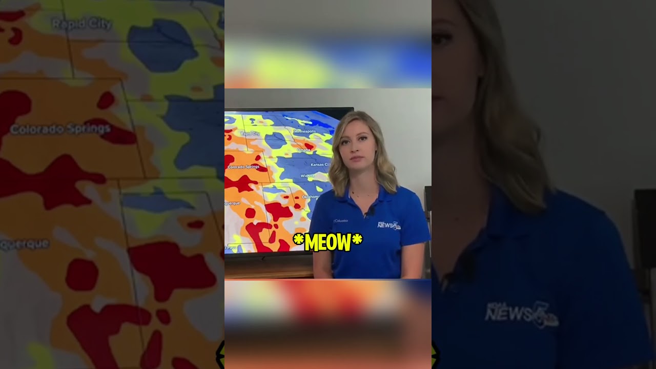 Horse Interrupts News Reporter!