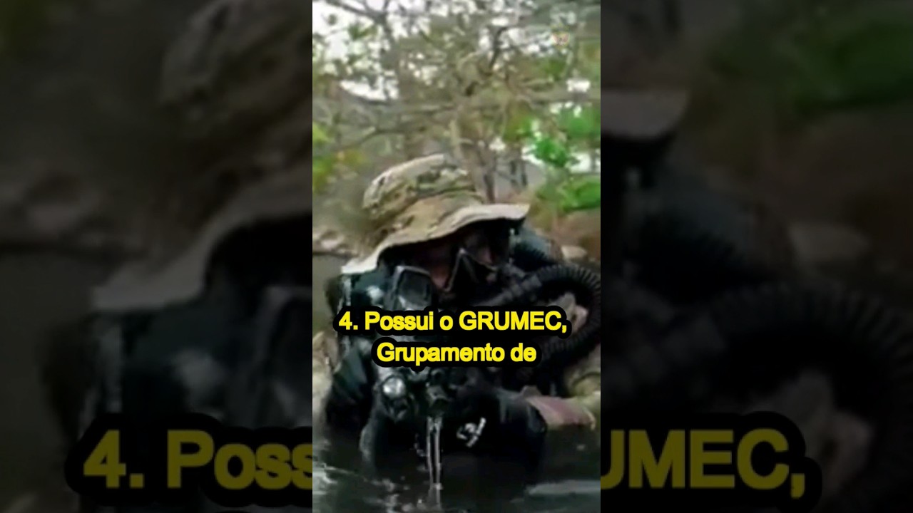 5 FATOS SOBRE A MARINHA DO BRASIL #shorts