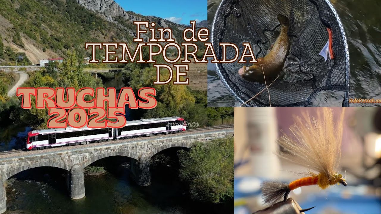 Fin de Temporada de Truchas 2025: Pesca a Mosca y Ninfa.