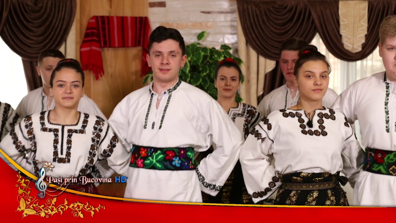Ansamblul ”Stejarelul”   Cajvana 2