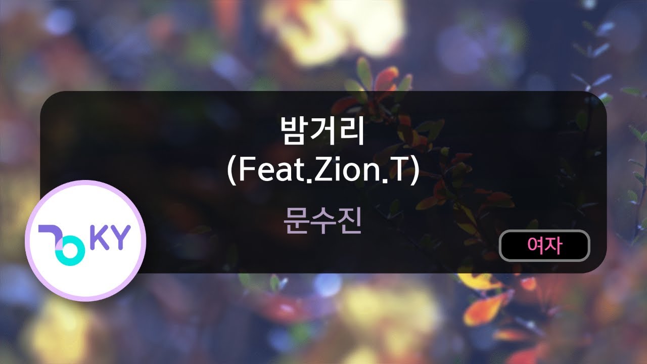 밤거리 (Feat.Zion.T) - 문수진 (KY.80387) / KY KARAOKE
