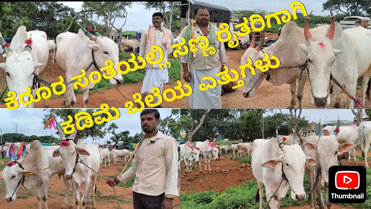 #kerur