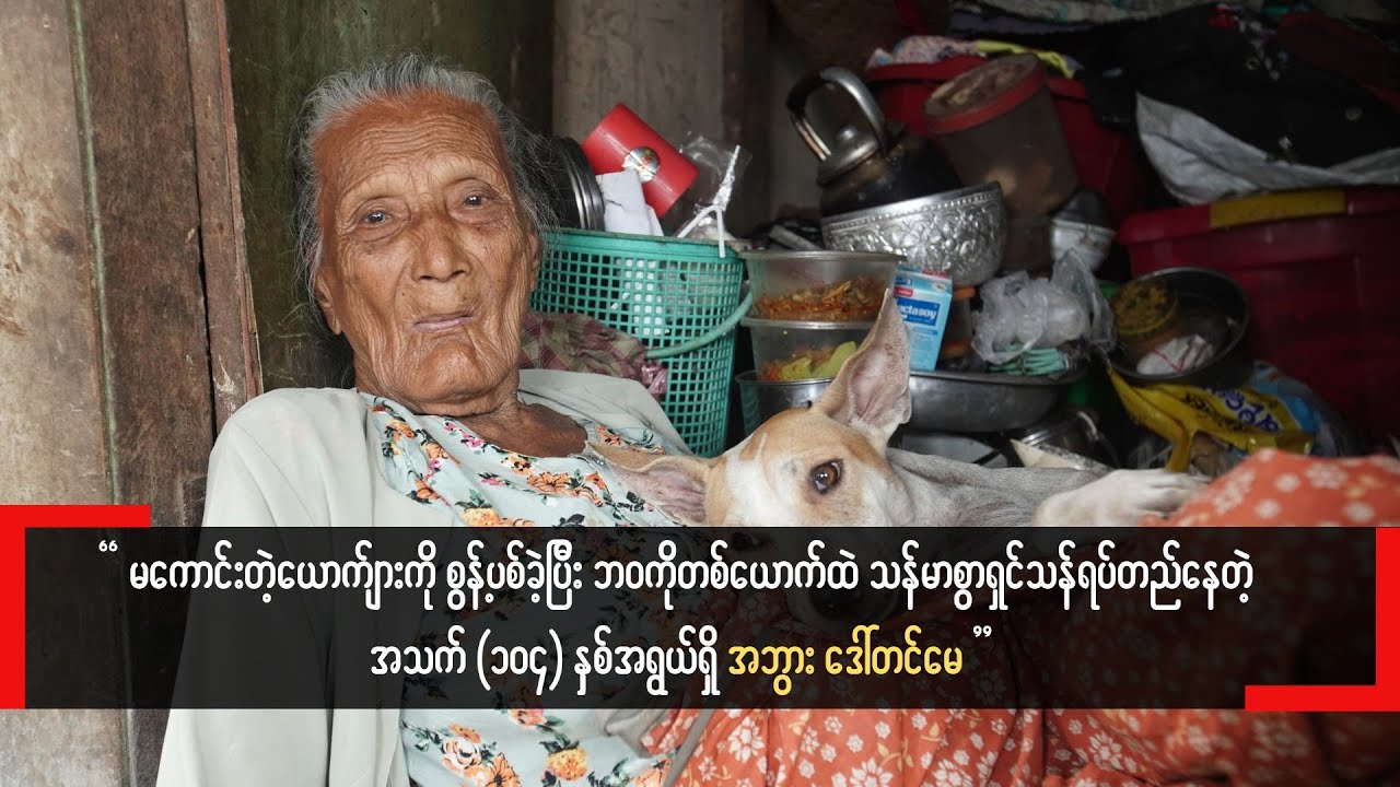 အနီးကပ်ပြုစုပေးမယ့်သူမရှိဘဲမွေးထားတဲ့ ခွေးလေးတွေကိုသာ အဖော်ပြုနေရတဲ့ အဘွား ‌ဒေါ်တင်မေ