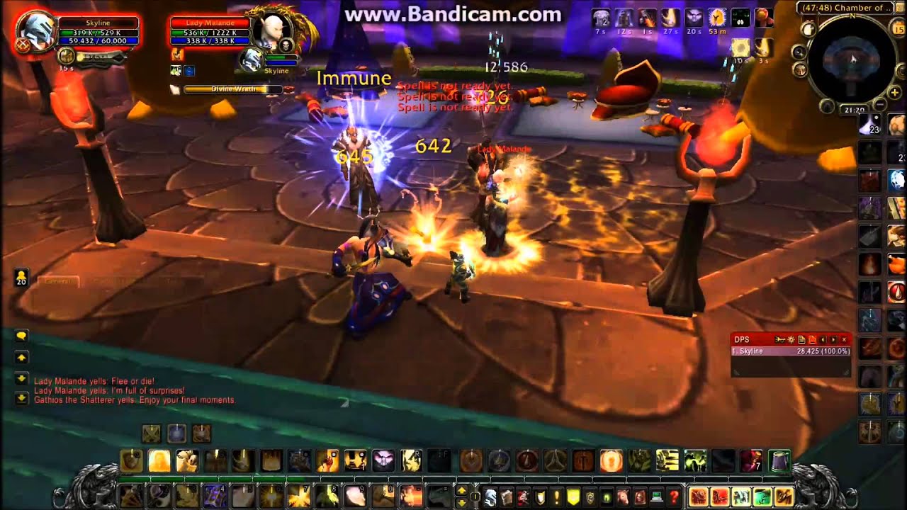 Illidari Council Paladin Solo