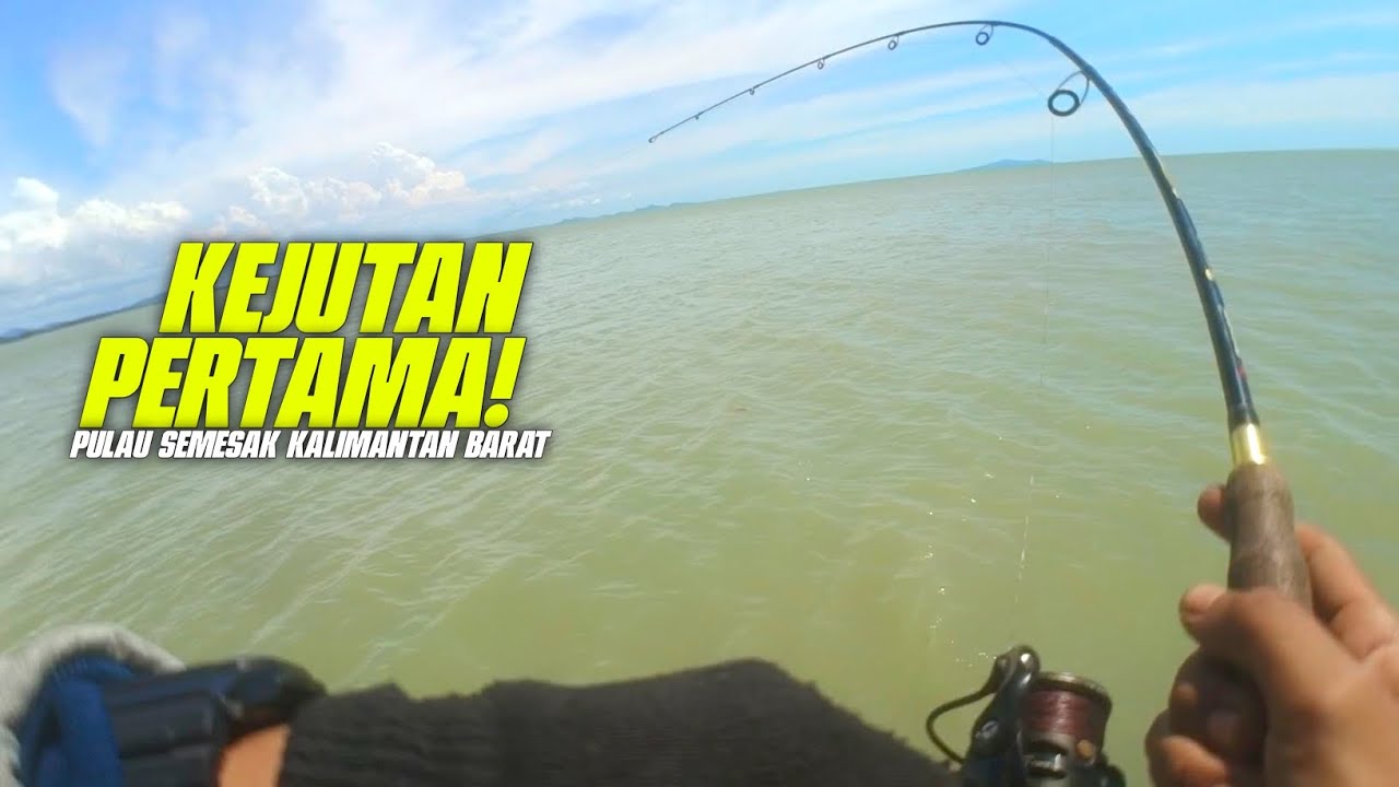 Cara Mainkan Umpan Softlure untuk Target Kerapu!