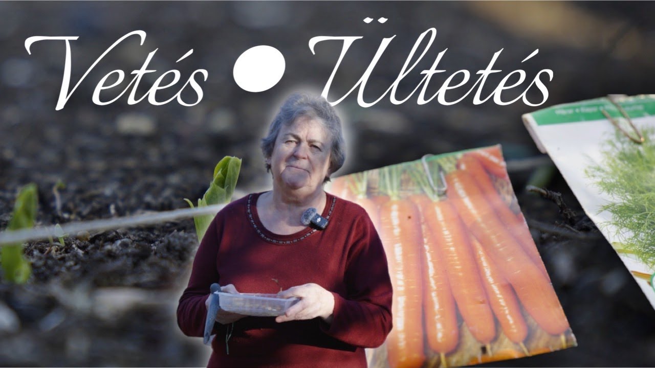 MEGJÖTT a TAVASZ! Vagy MÉGSE? - Vetés, ültetés
