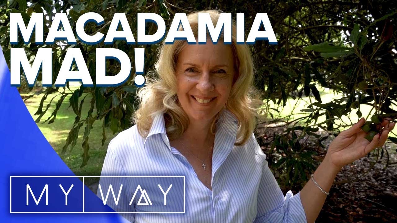 A leap of faith and a love of macadamias | My Way Australia