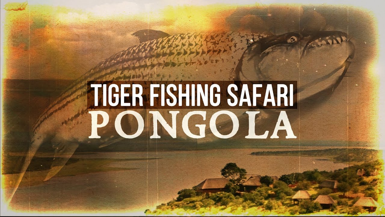 'Zululand Tiger Fishing Adventure' at Pongola Game Reserve (FHD)