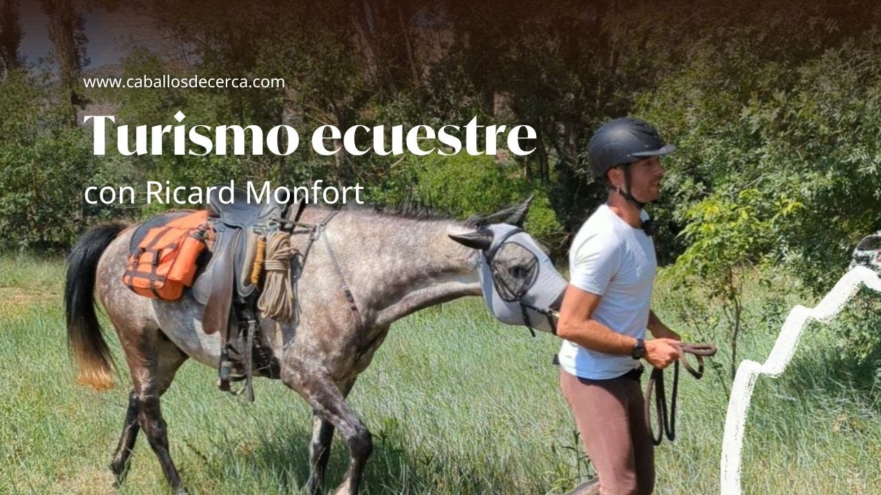 Curso de introducci&oacute;n al turismo ecuestre