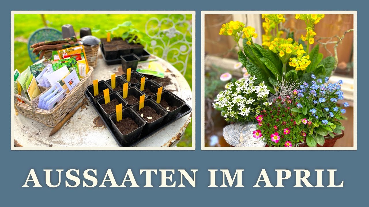 #33 Aussaaten im April im Garten und Haus