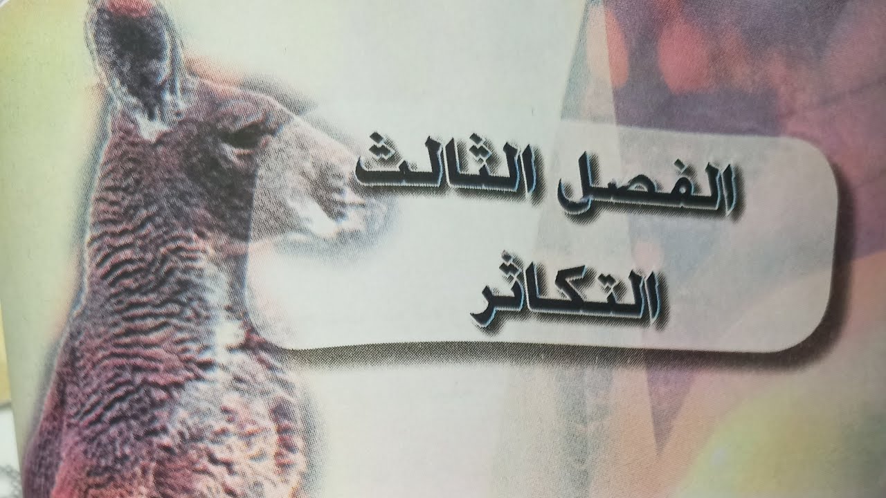 الدورة الرحمية / محاضرة 50