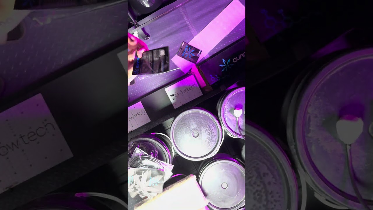 Unboxing Quantum board 300w de growtech🧾💫🚀