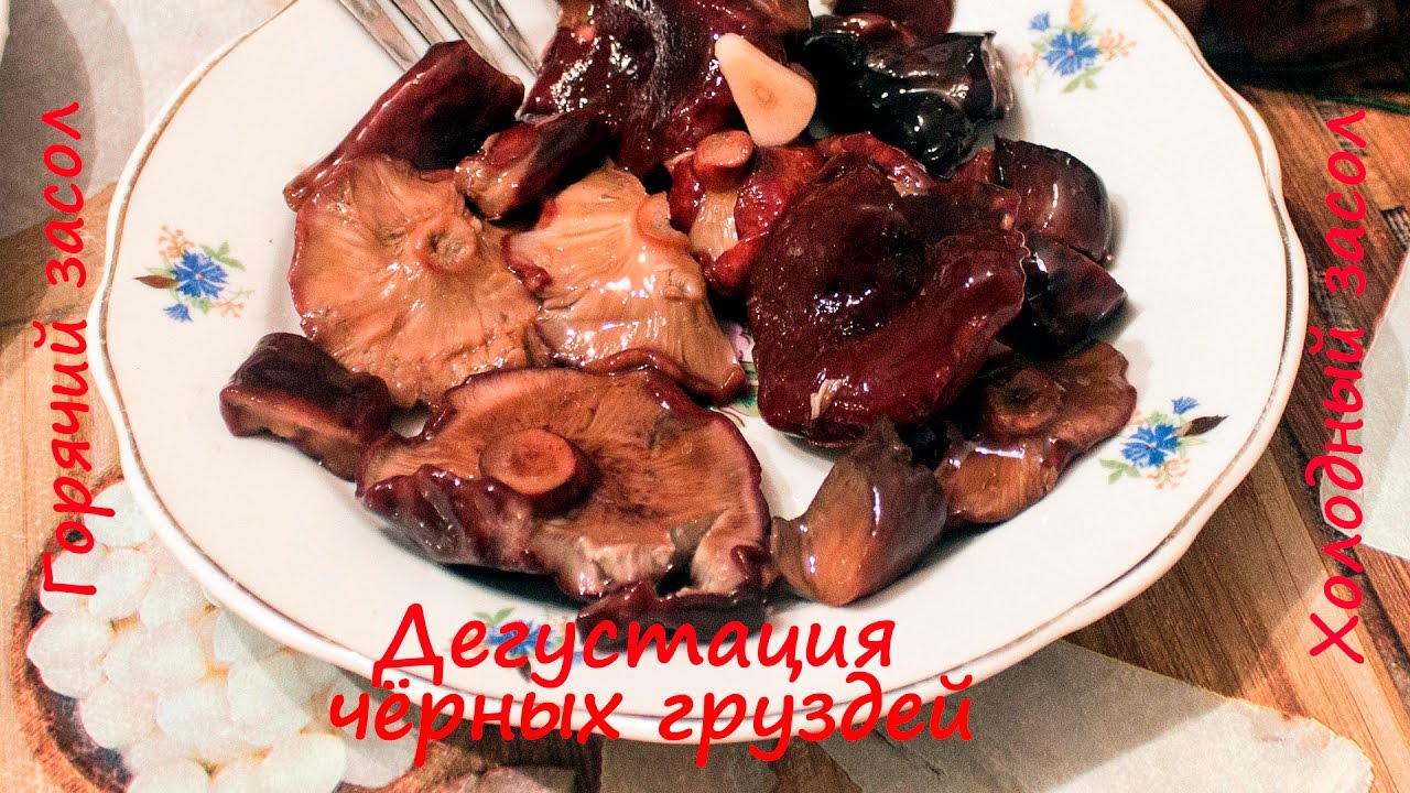 Чем отличаются  чёрные грузди холодного и горячего засола.