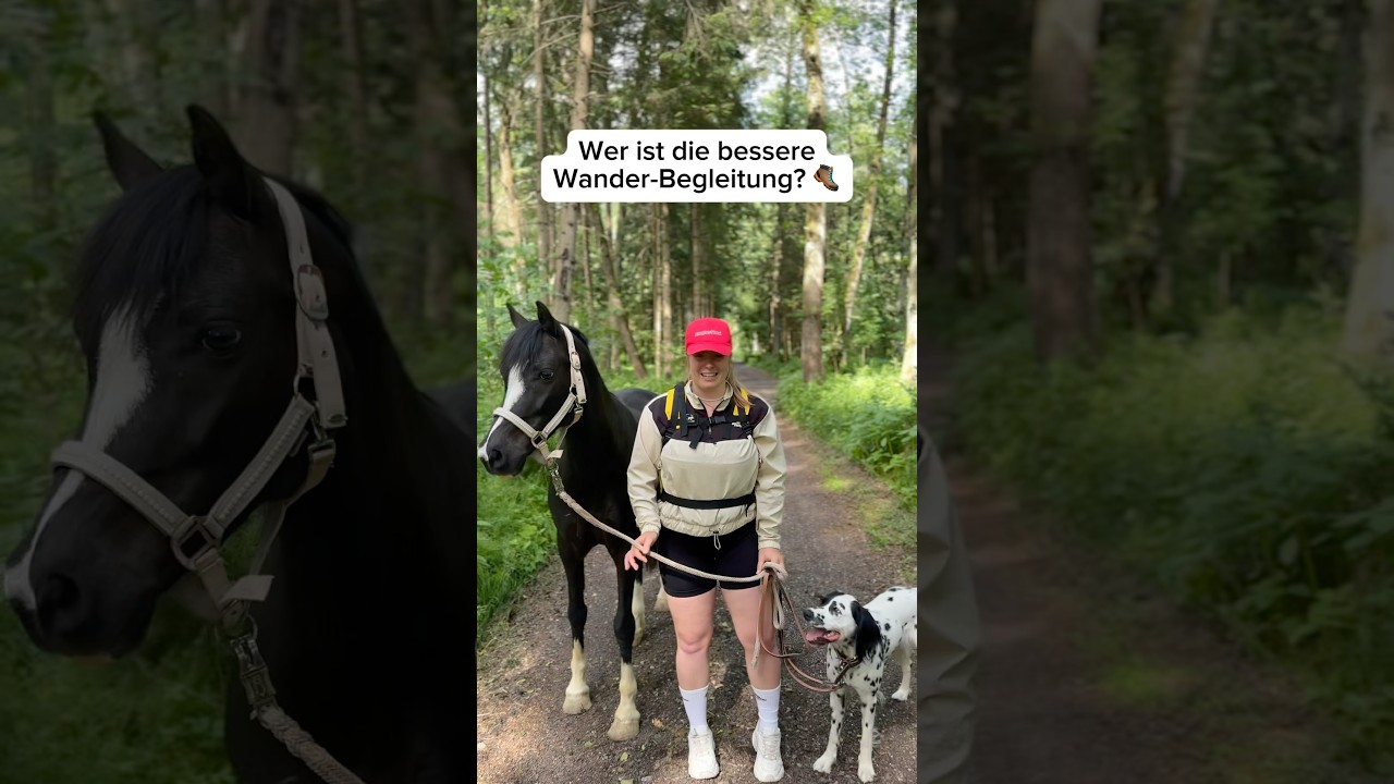 Wer ist die bessere Wander-Begleitung? Hund oder Pferd? 🤭 #summeronshorts #shorts #hiking