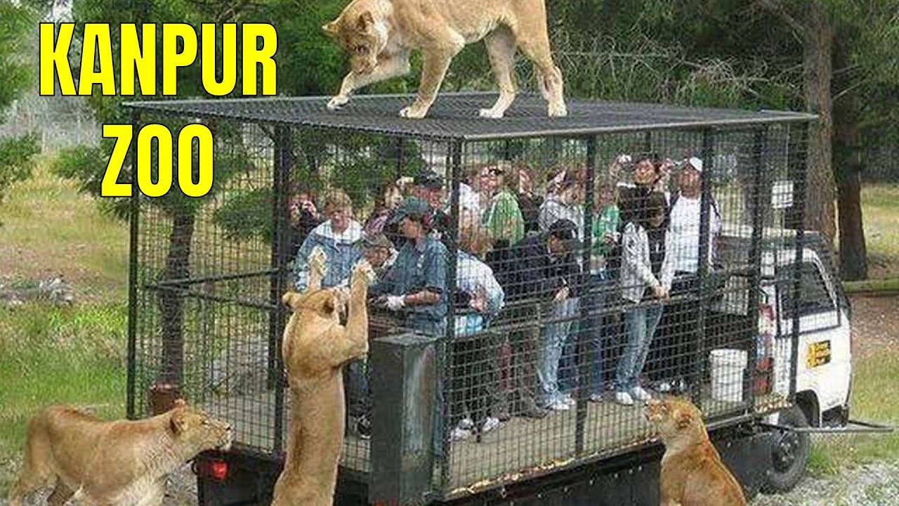 A Day at Kanpur Zoo - Official Documentary (4K)