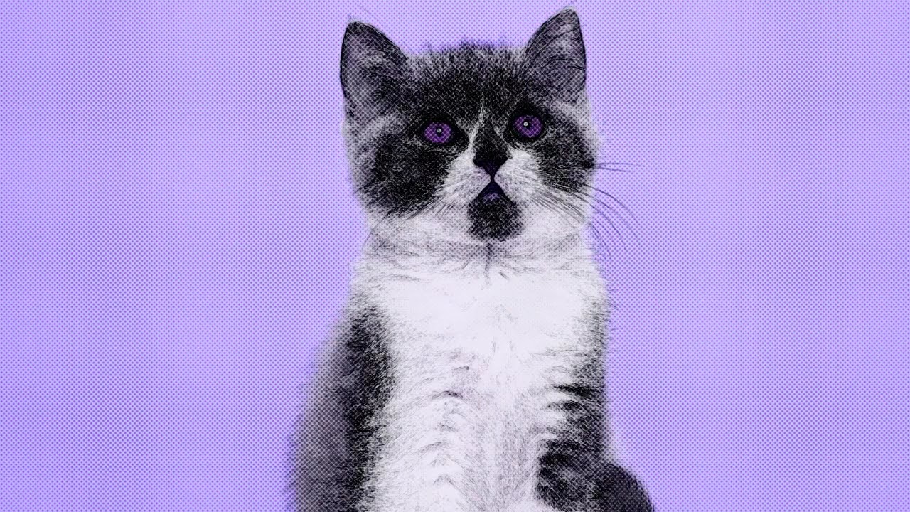DJ Minx, Kevin Knapp - House Katz (Extended Mix)