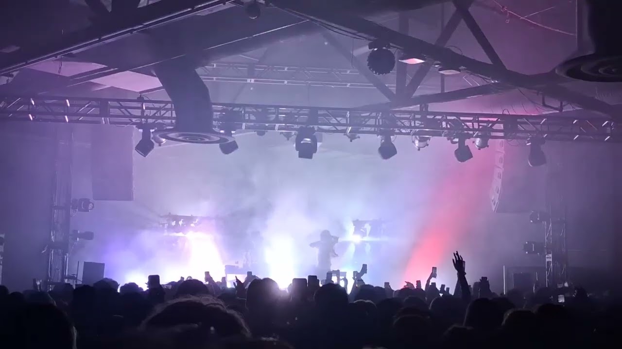 beat it like michael ~ snow strippers (unreleased)
