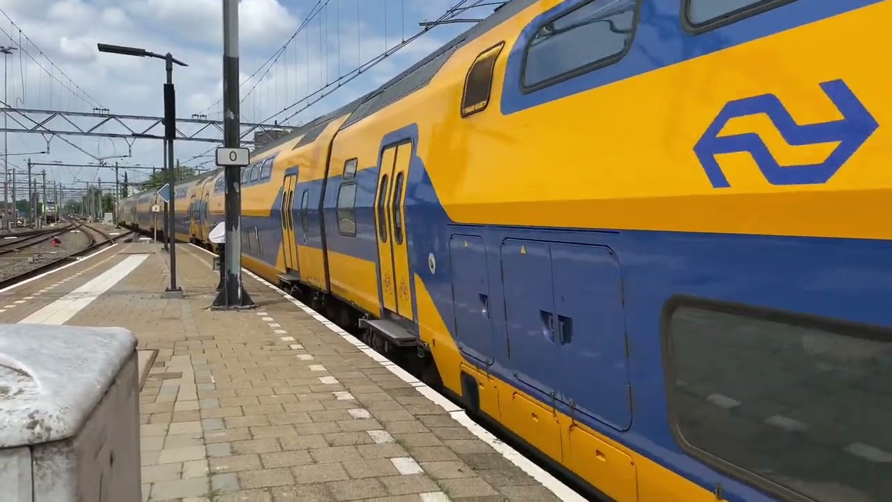 De Zomer Reis #2